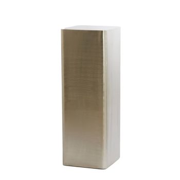 ALURIO PILLAR NCKL 36*100(CM) 6796328